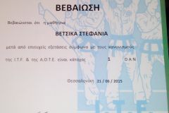 DIPLOMAS