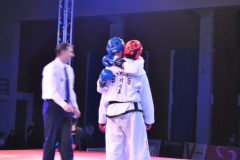 EUROPEAN king of TKD